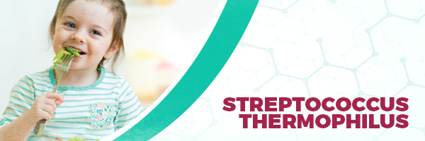Streptococcus thermophilus